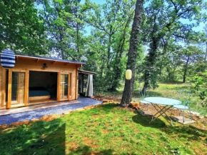 Cabanon dans un écrin de verdure